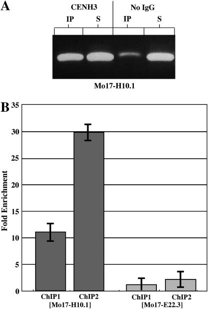 Figure 4.—