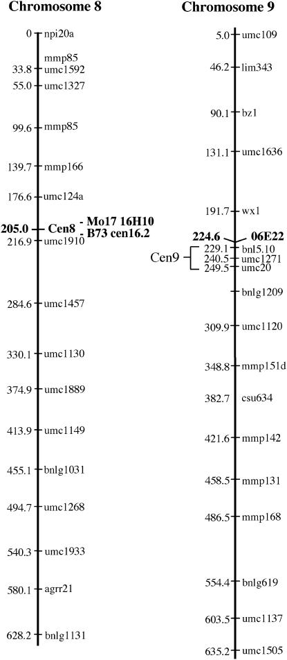 Figure 3.—