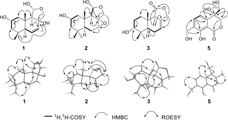 Fig. 2