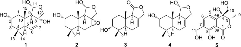 Fig. 1