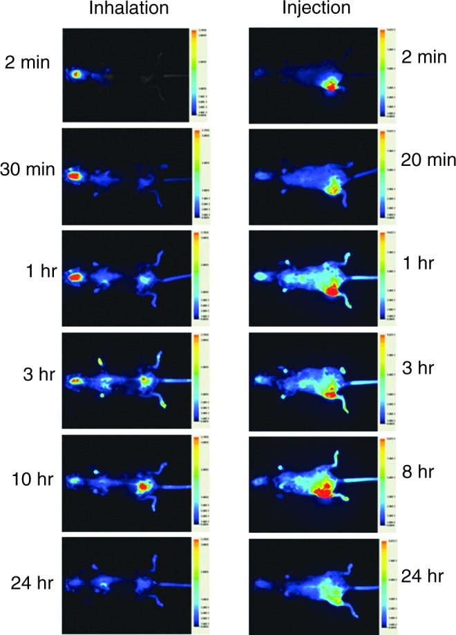 FIG. 2.