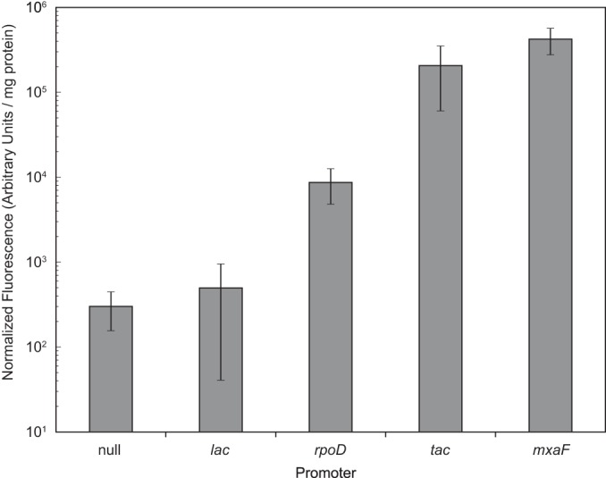 FIG 5