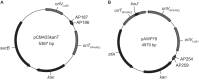 FIG 2