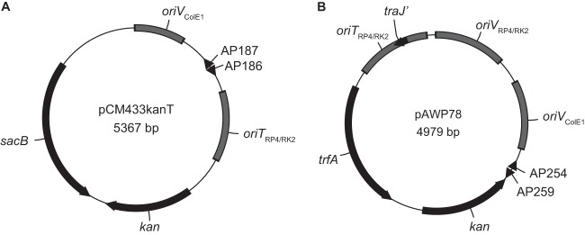 FIG 2