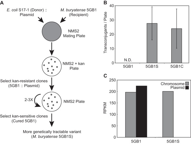 FIG 3