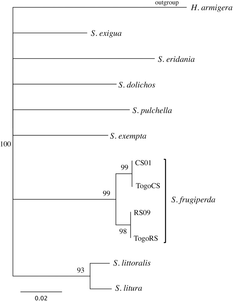 Fig 3