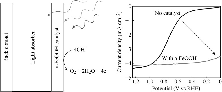 Fig. 7