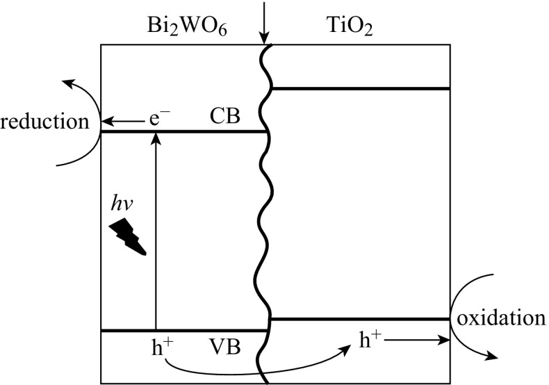 Fig. 5