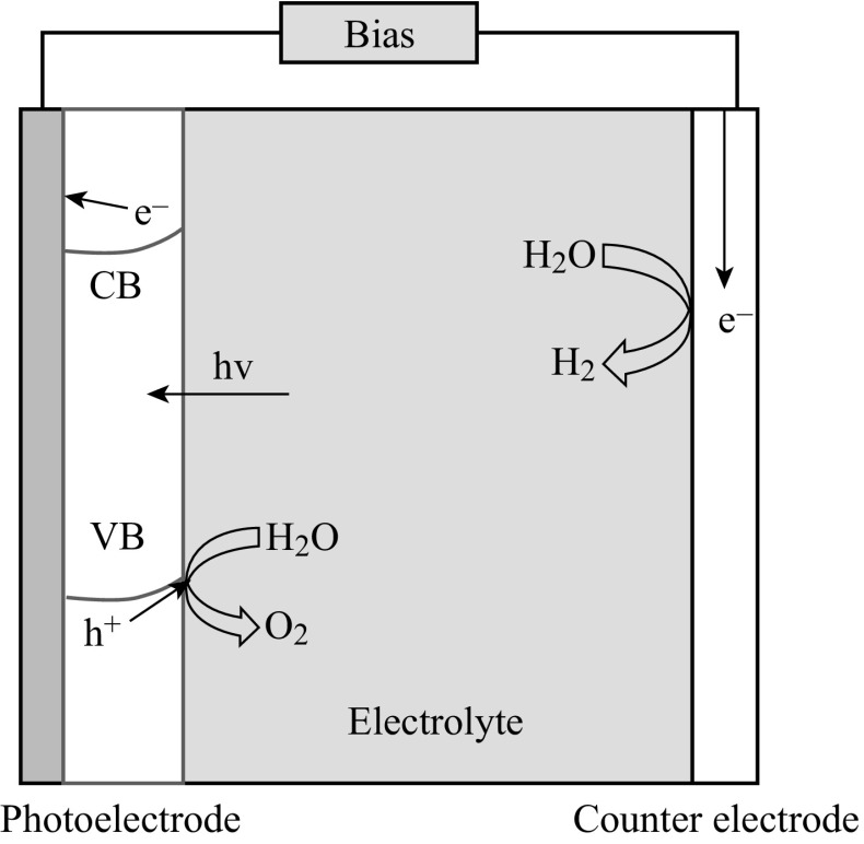 Fig. 1