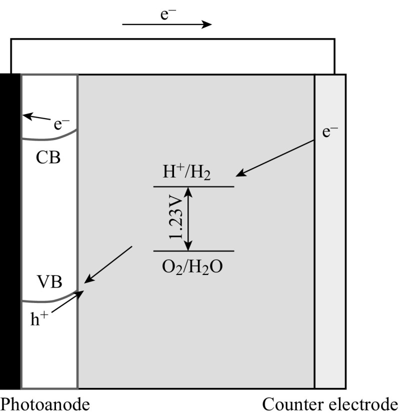 Fig. 2