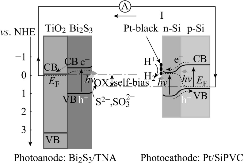 Fig. 15