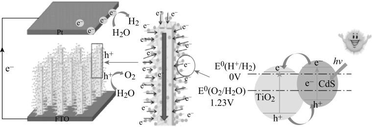 Fig. 8