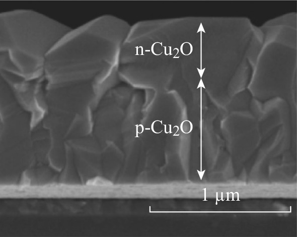 Fig. 10