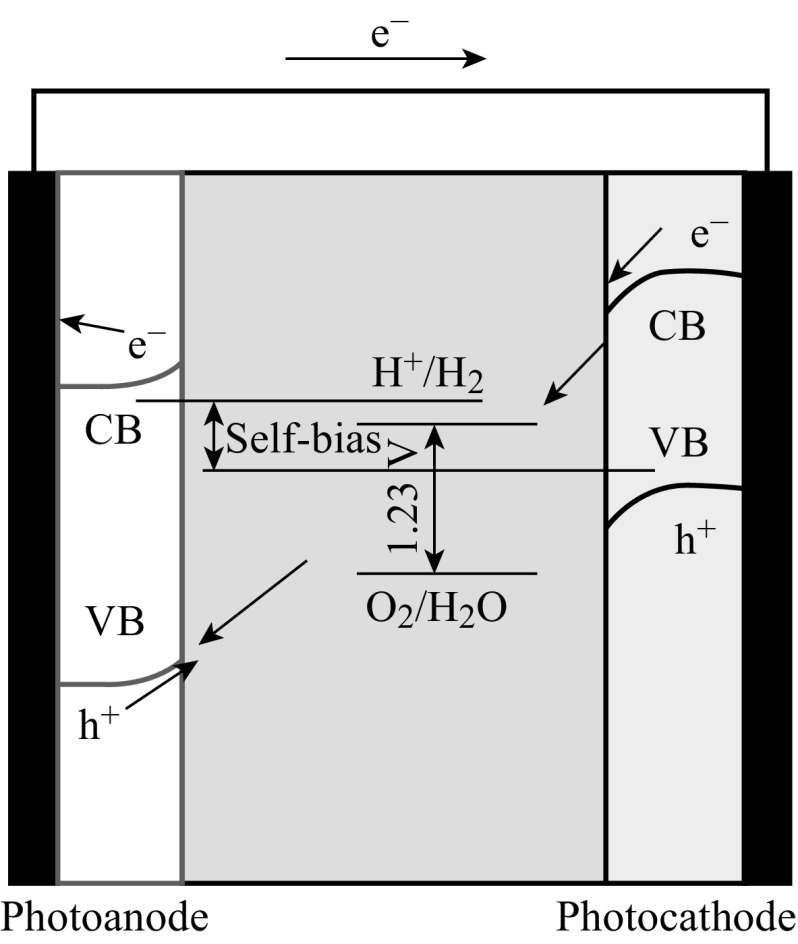 Fig. 13