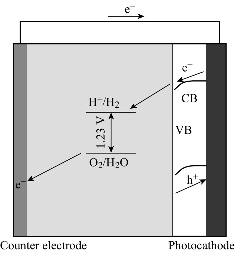 Fig. 9