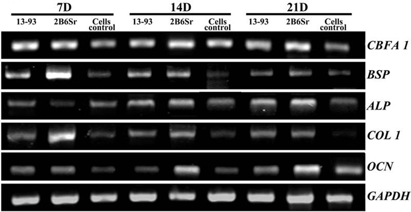 Figure 6.