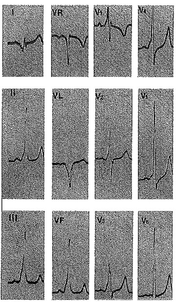 Figure 8