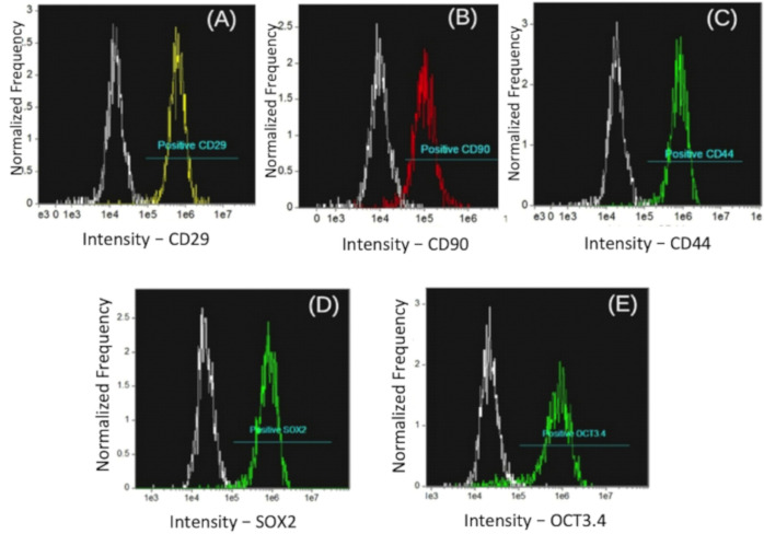 Figure 2.