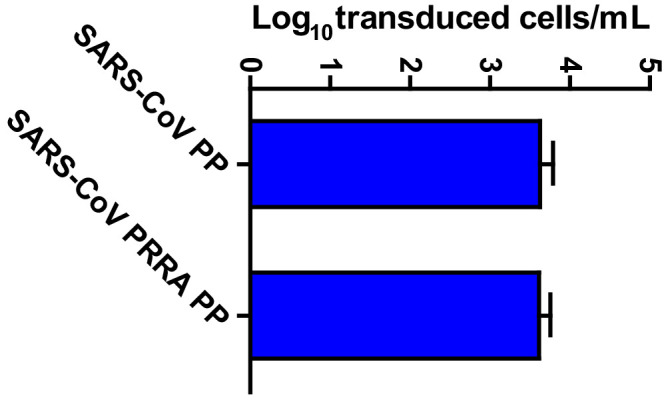 Figure 2—figure supplement 1.