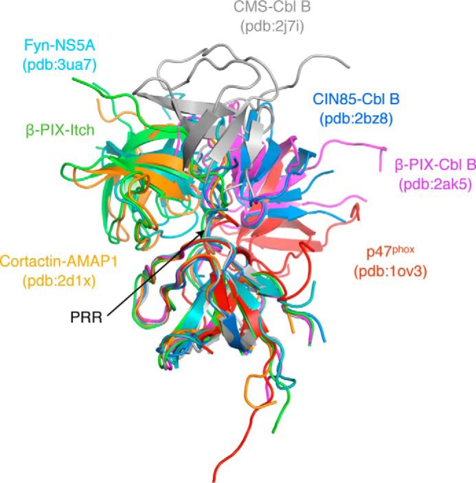 Figure 5.