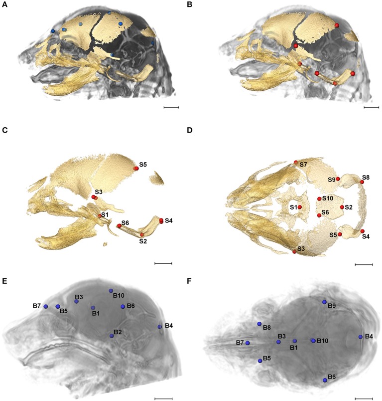 Figure 2