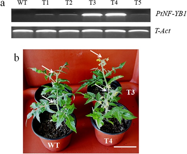 Fig. 4