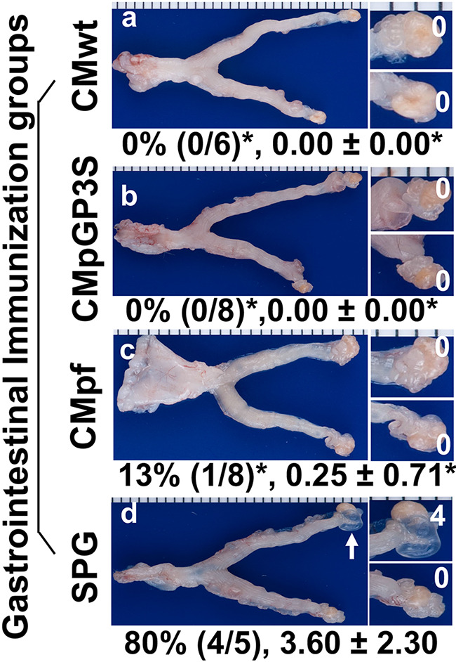 FIG 5