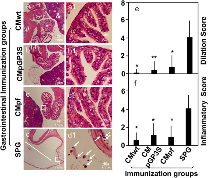 FIG 6