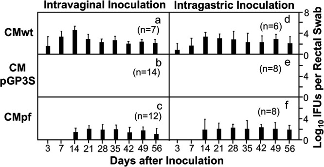 FIG 3