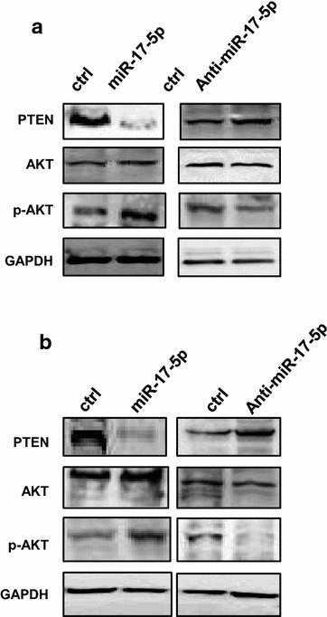 Fig. 6