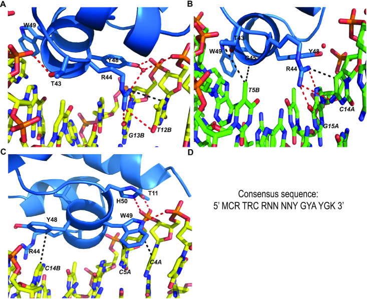 Figure 2.