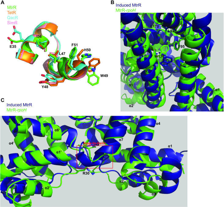 Figure 6.
