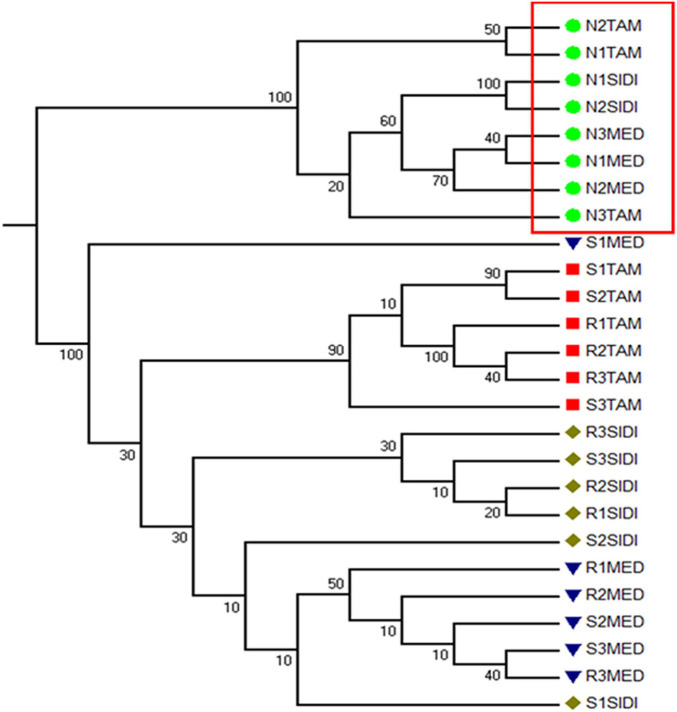 FIGURE 4