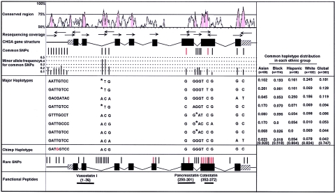 Figure  1