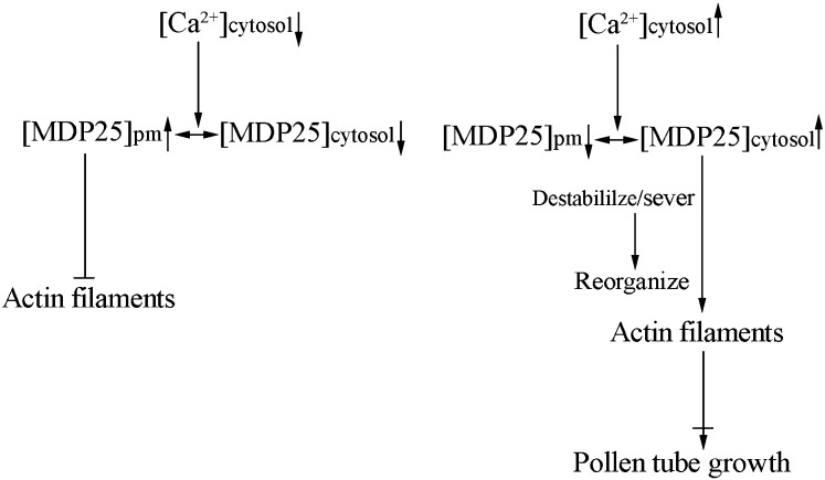 Figure 9.