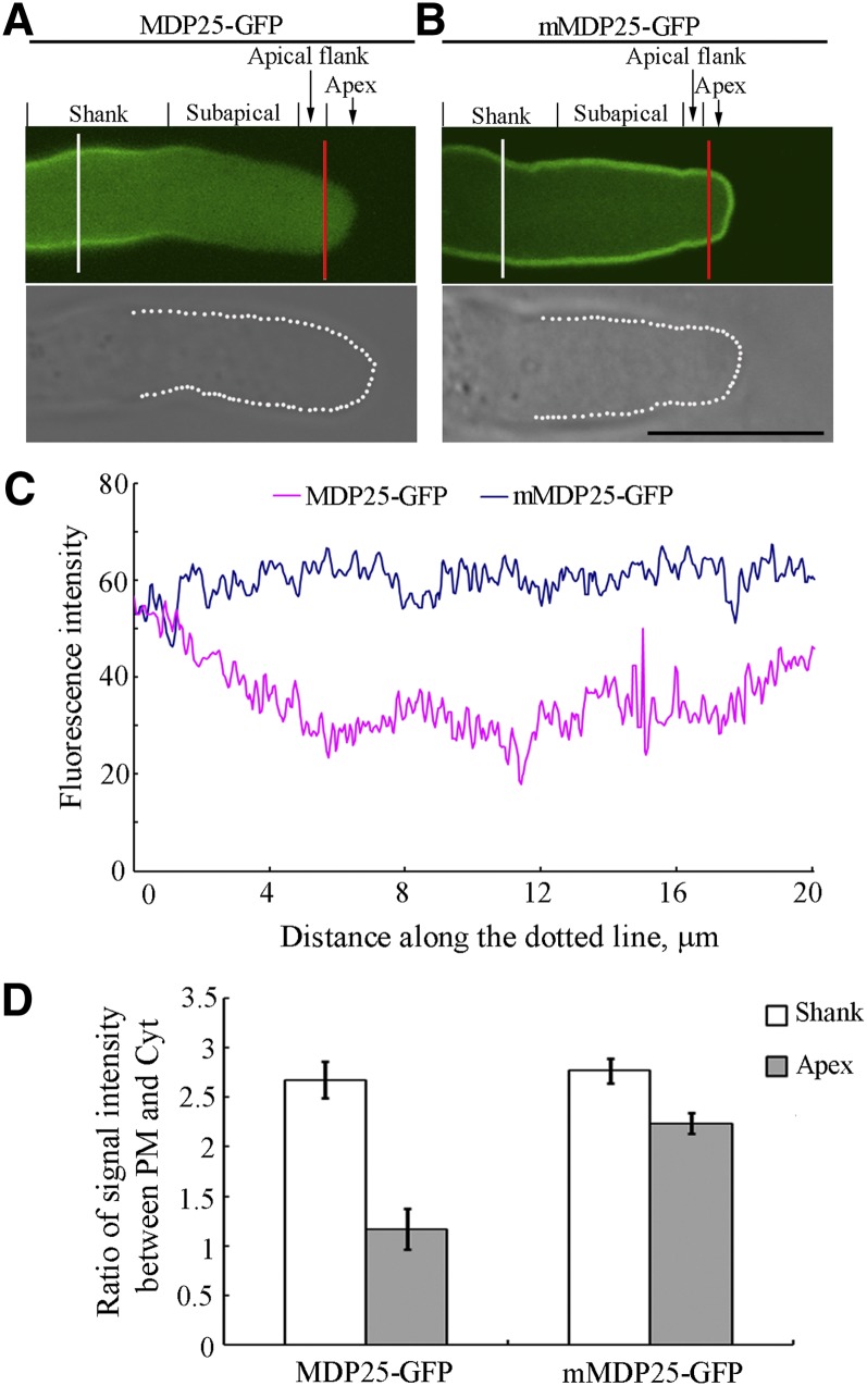 Figure 5.