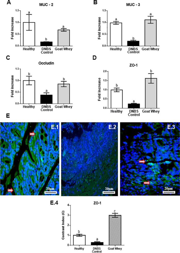 Fig 4