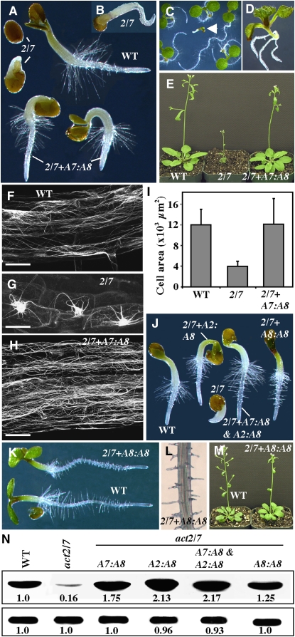 Figure 12.