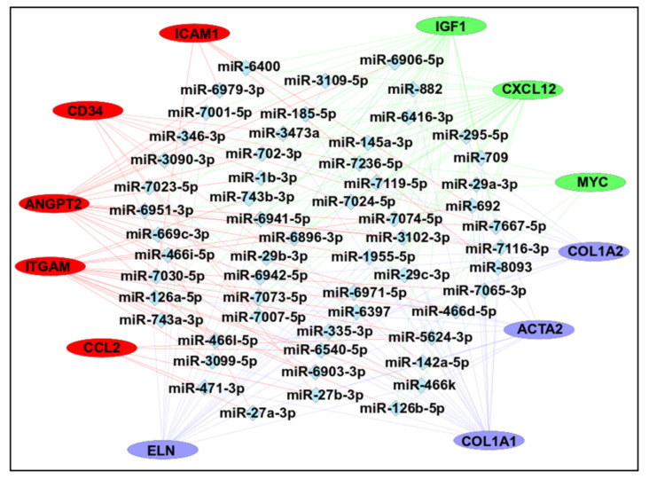 Figure 9