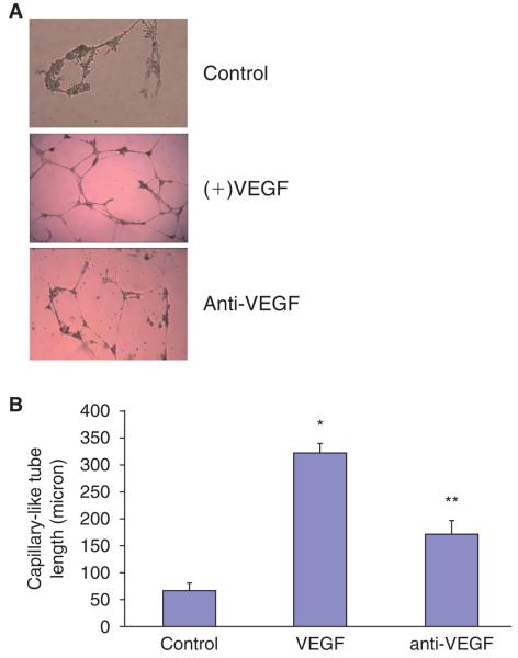 FIG. 7