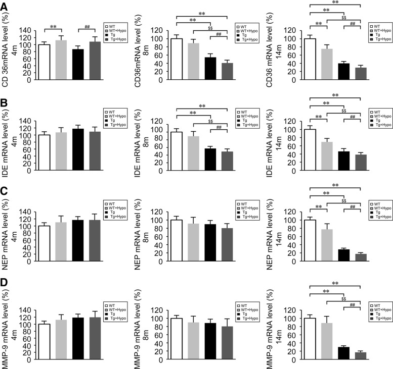 FIG. 6.