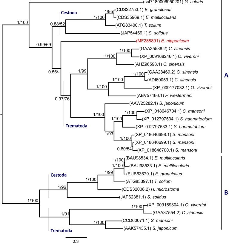 Figure 2.