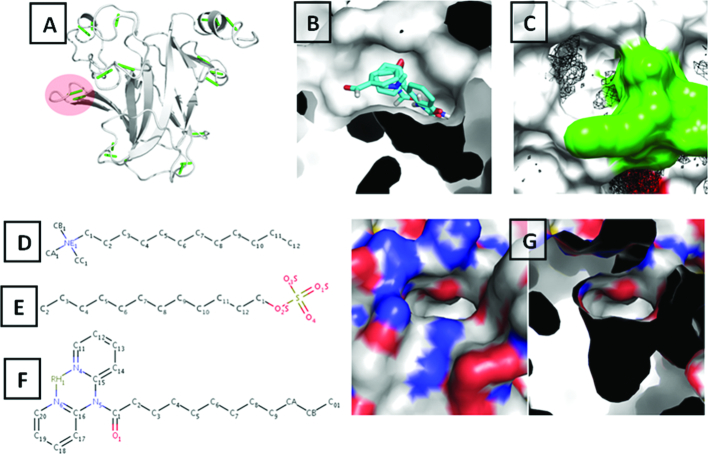 Figure 10.