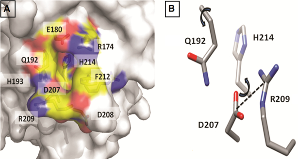 Figure 9.