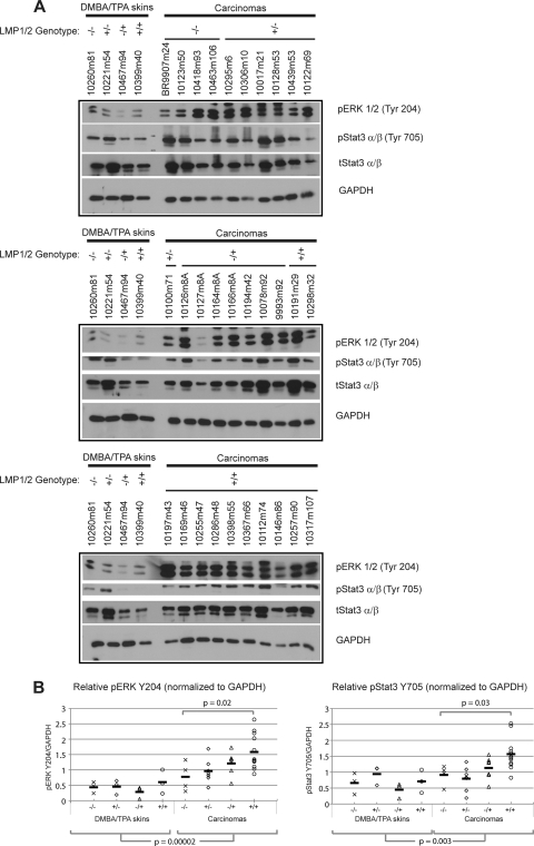 Fig 5