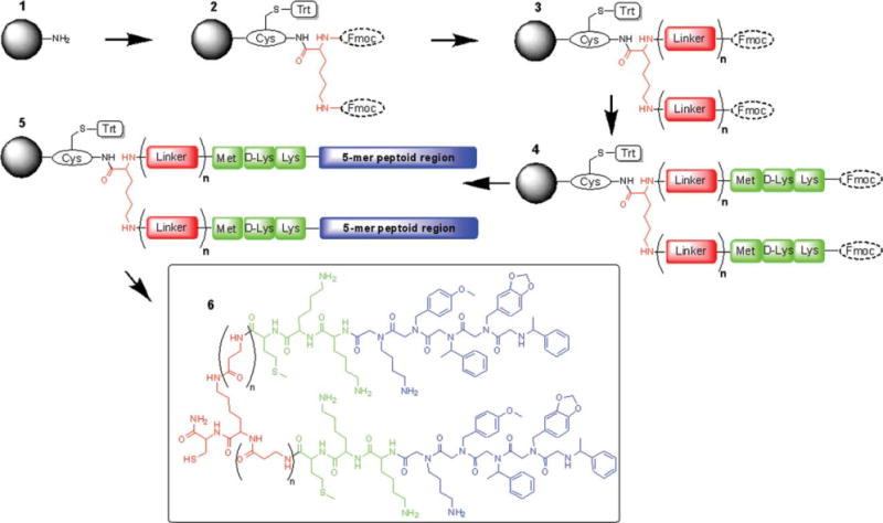 SCHEME 1