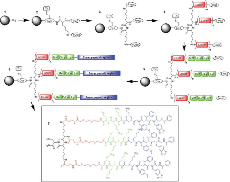 SCHEME 2