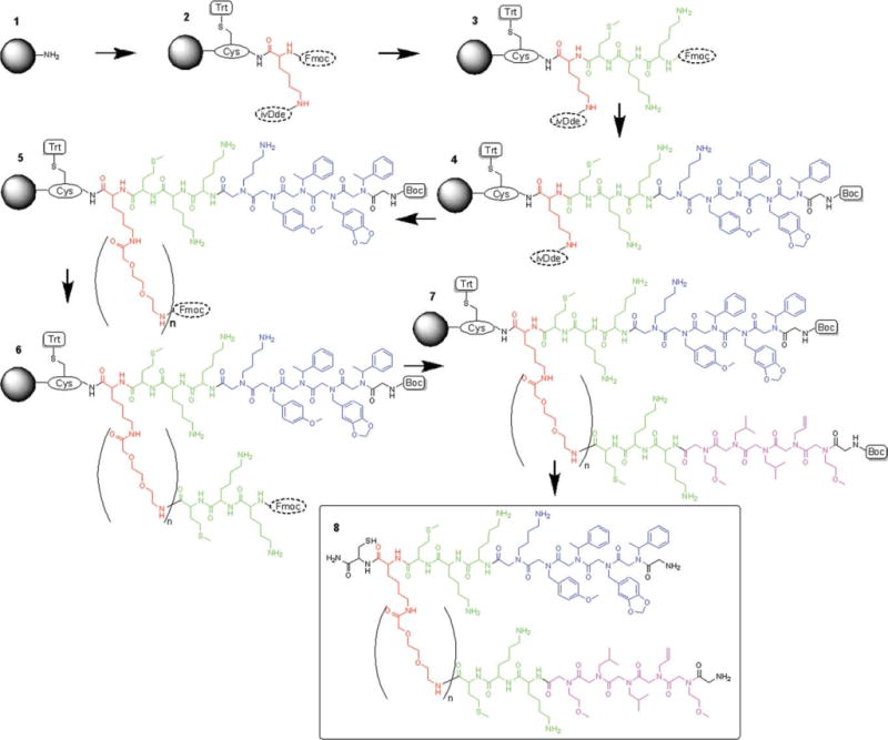 SCHEME 3