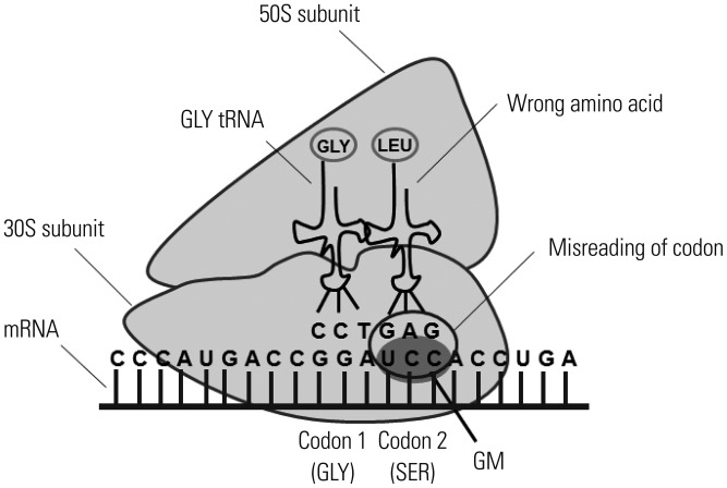 Fig. 3