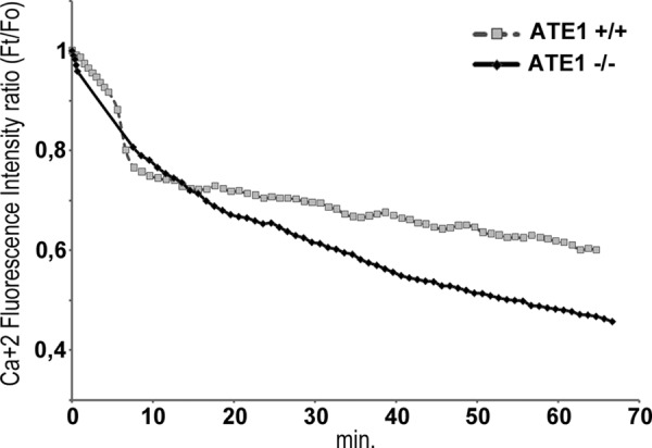 FIGURE 7.